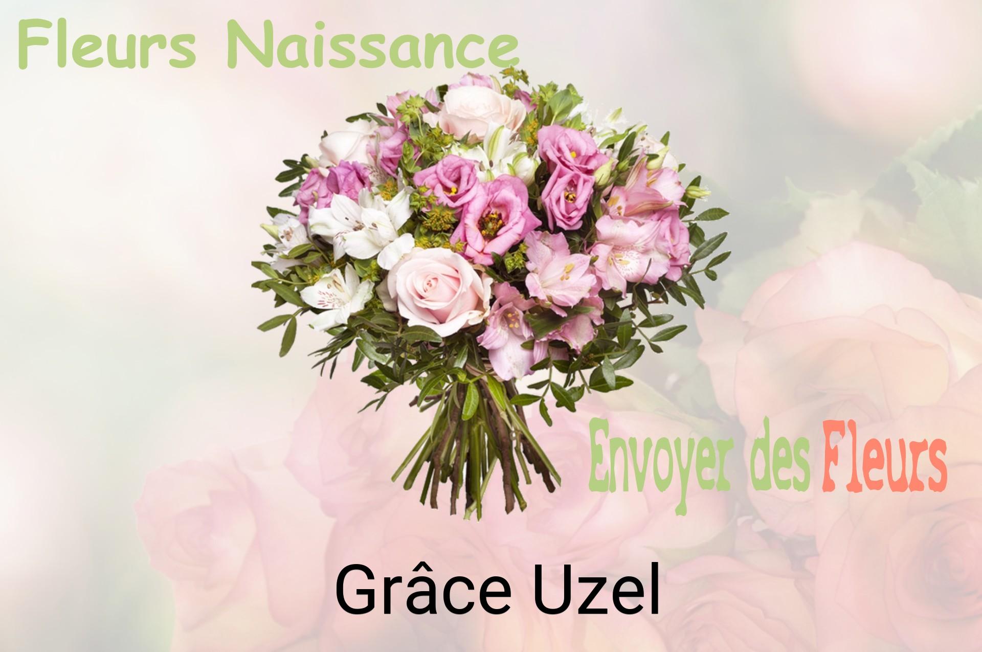 Bouquet de fleurs de naissance livré à Grâce-Uzel